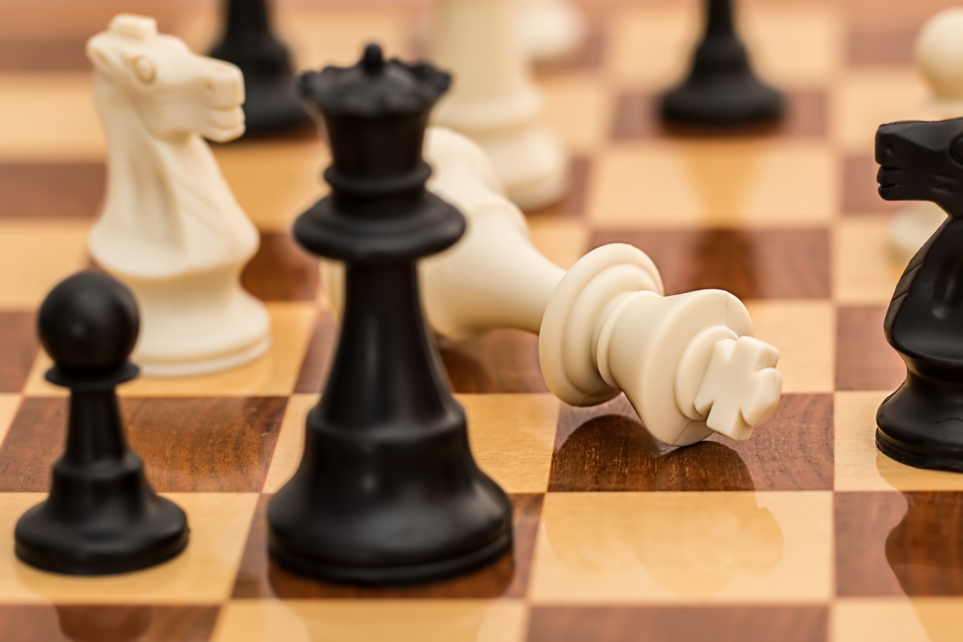 Skvelý šachový liek – Radosť zo šachu